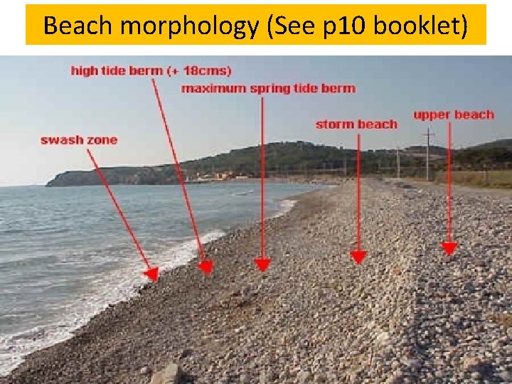 Beach morphology (See p 10 booklet) 