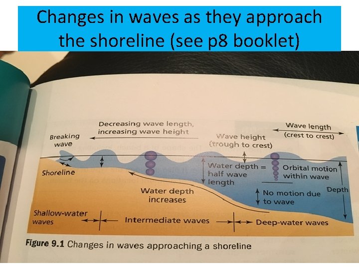 Changes in waves as they approach the shoreline (see p 8 booklet) 