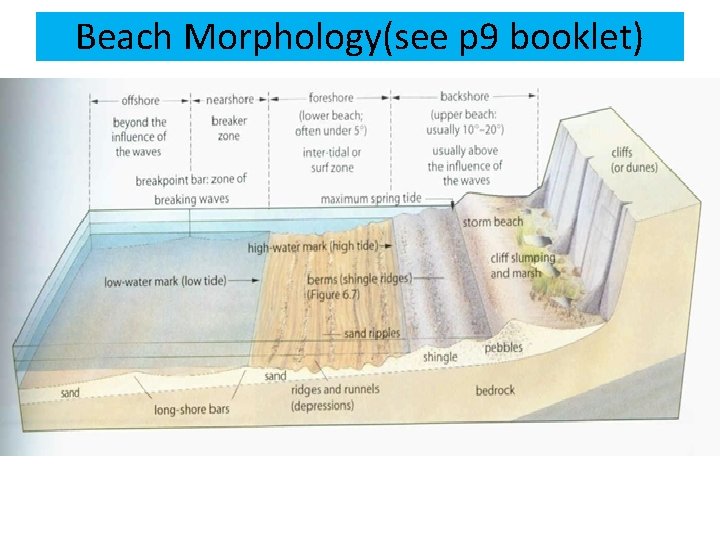 Beach Morphology(see p 9 booklet) 