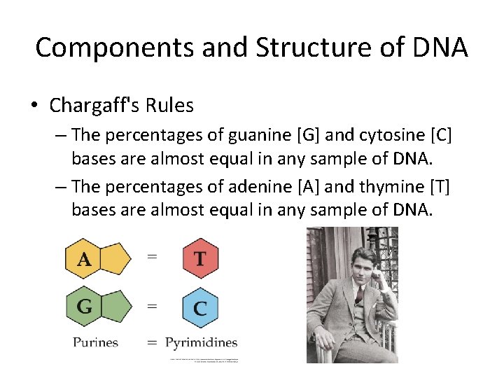 Components and Structure of DNA • Chargaff's Rules – The percentages of guanine [G]