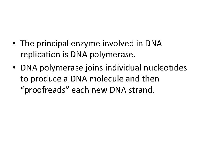  • The principal enzyme involved in DNA replication is DNA polymerase. • DNA