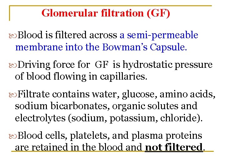 Glomerular filtration (GF) Blood is filtered across a semi-permeable membrane into the Bowman’s Capsule.