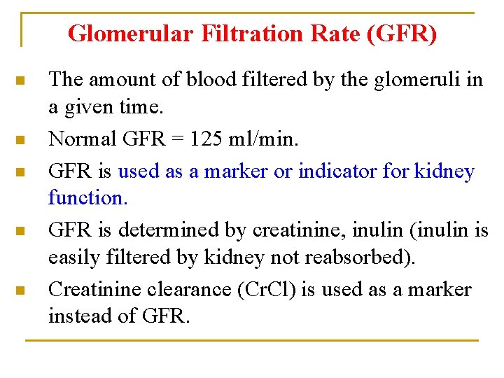 Glomerular Filtration Rate (GFR) n n n The amount of blood filtered by the