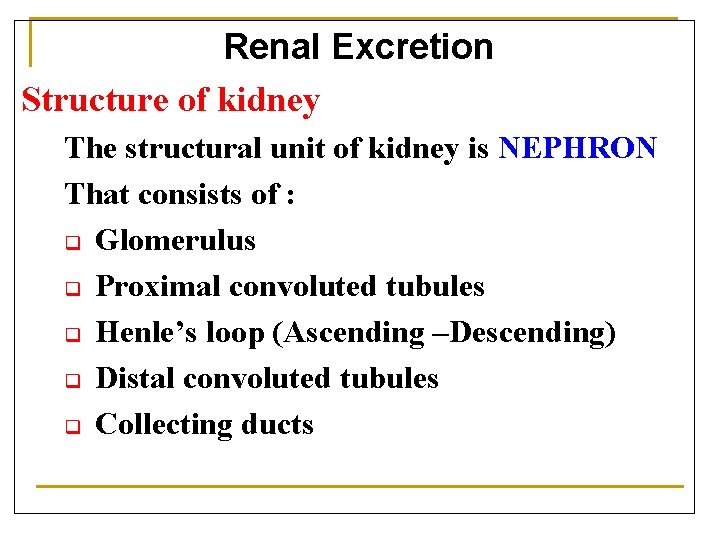 Renal Excretion Structure of kidney The structural unit of kidney is NEPHRON That consists