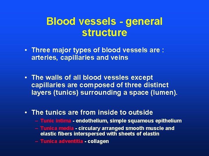 Blood vessels - general structure • Three major types of blood vessels are :