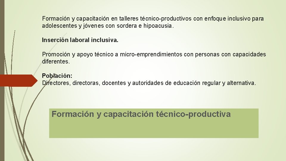 Formación y capacitación en talleres técnico-productivos con enfoque inclusivo para adolescentes y jóvenes con