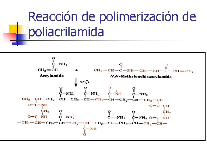 Reacción de polimerización de poliacrilamida 