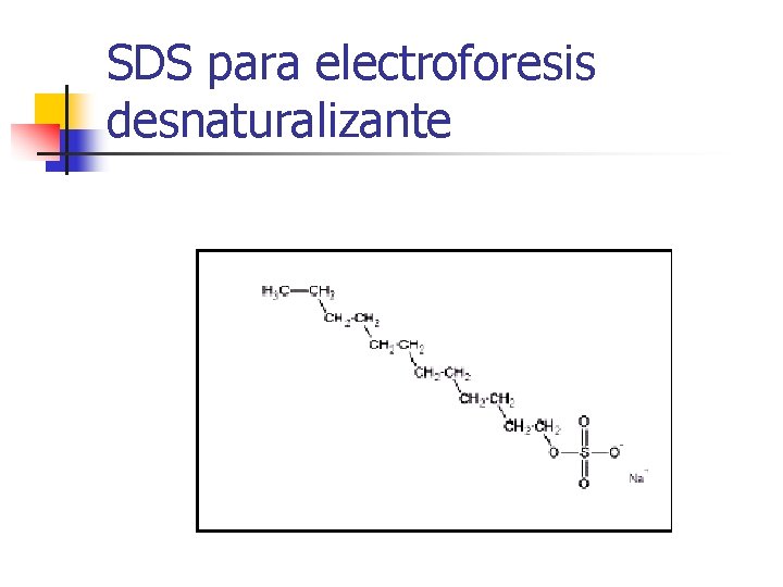 SDS para electroforesis desnaturalizante 