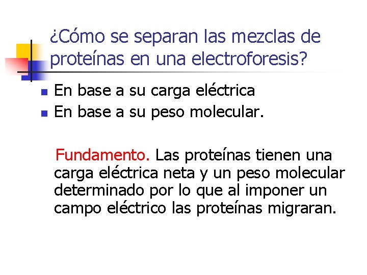 ¿Cómo se separan las mezclas de proteínas en una electroforesis? n n En base