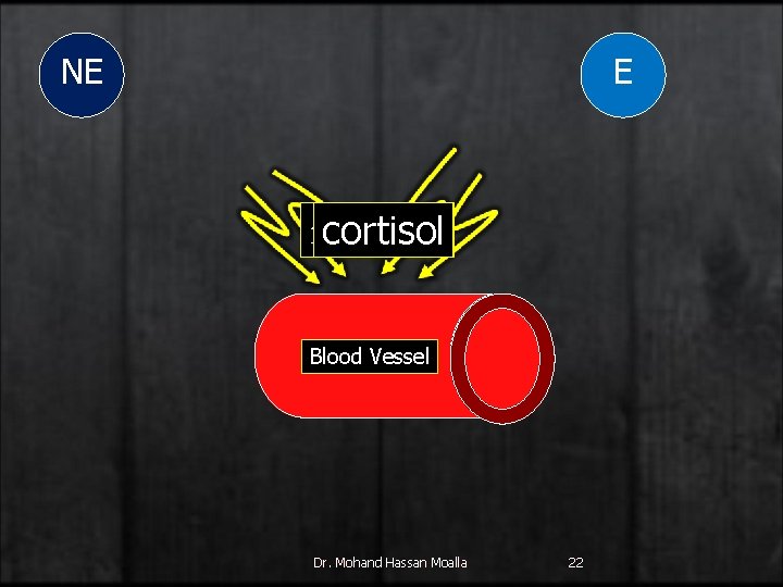 NE E response cortisol Blood Vessel Dr. Mohand Hassan Moalla 22 