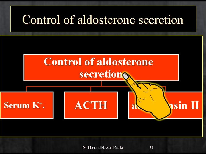 Control of aldosterone secretion Serum K+. ACTH Dr. Mohand Hassan Moalla angiotensin II 31