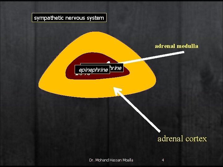 sympathetic nervous system adrenal medulla norepinephrine 20% adrenal cortex Dr. Mohand Hassan Moalla 4