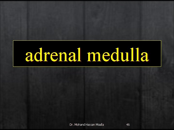 adrenal medulla Dr. Mohand Hassan Moalla 46 
