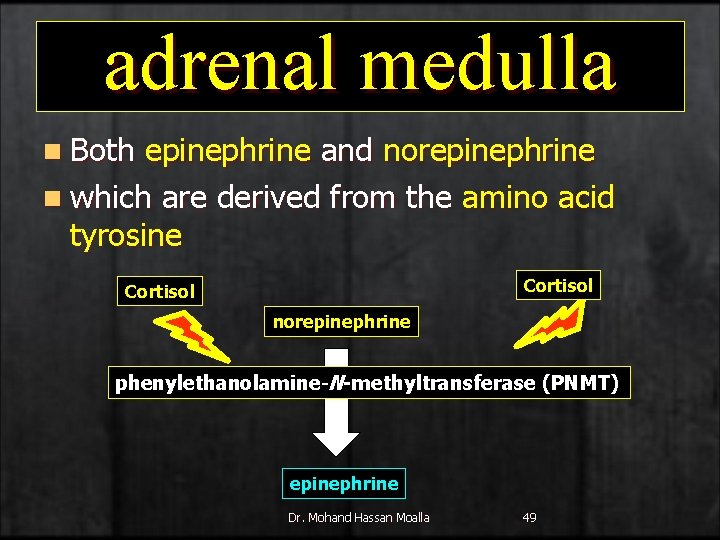 adrenal medulla n Both epinephrine and norepinephrine n which are derived from the amino