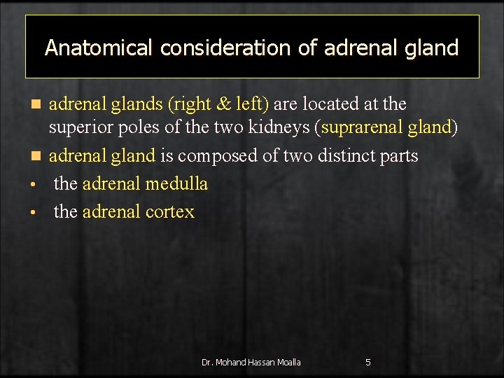 Anatomical consideration of adrenal gland n n • • adrenal glands (right & left)