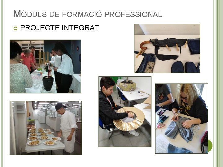 MÒDULS DE FORMACIÓ PROFESSIONAL PROJECTE INTEGRAT 