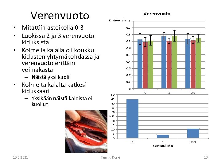 Verenvuoto Kuntokerroin • Mitattiin asteikolla 0 -3 • Luokissa 2 ja 3 verenvuoto kiduksista