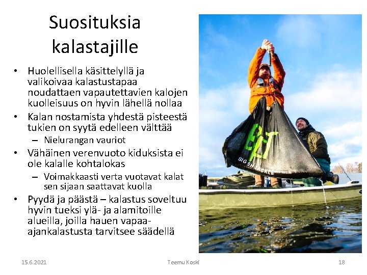 Suosituksia kalastajille • Huolellisella käsittelyllä ja valikoivaa kalastustapaa noudattaen vapautettavien kalojen kuolleisuus on hyvin