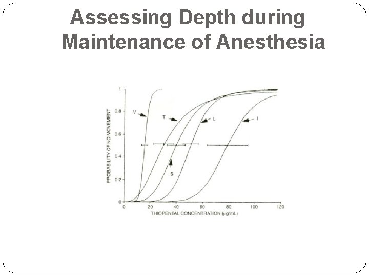 Assessing Depth during Maintenance of Anesthesia 