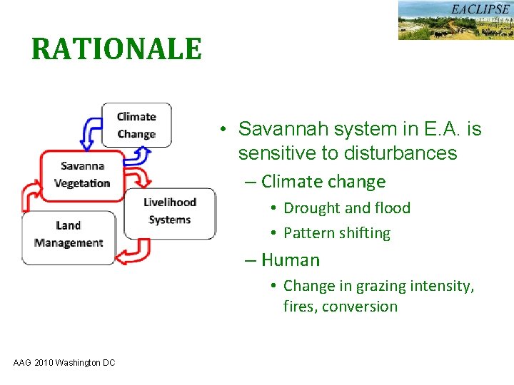 Assessing Savanna Ecosystem Changes with Remote Sensing in