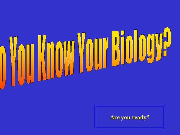 Are you ready? 