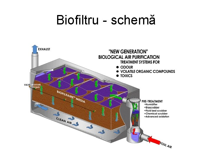 Biofiltru - schemă 