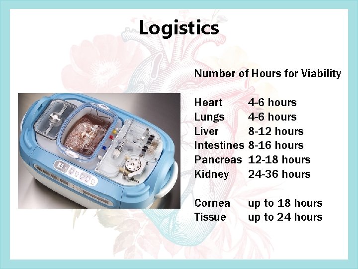 Logistics Number of Hours for Viability Heart Lungs Liver Intestines Pancreas Kidney 4 -6