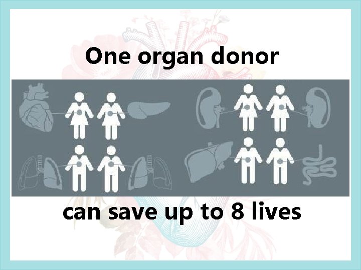 One organ donor can save up to 8 lives 