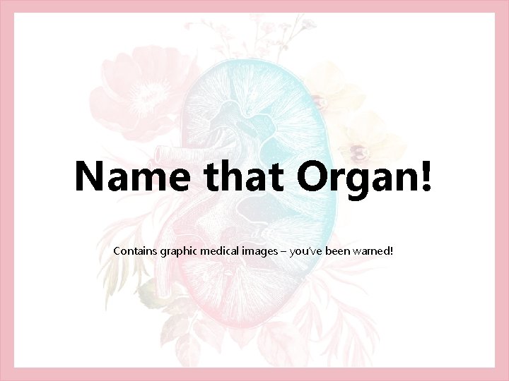 Name that Organ! Contains graphic medical images – you’ve been warned! 