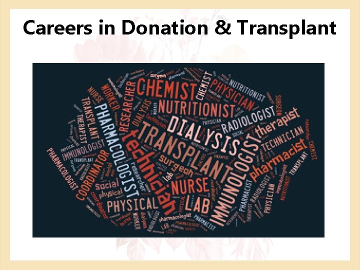 Careers in Donation & Transplant 