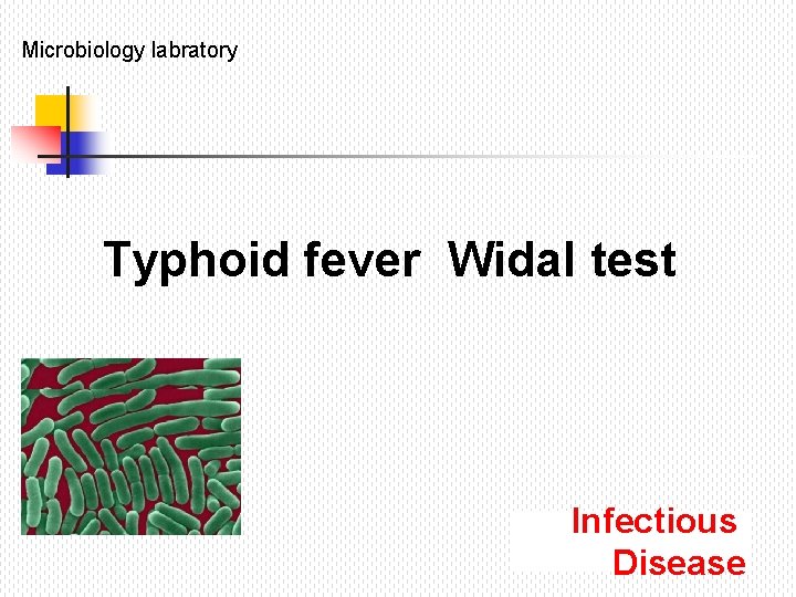 Microbiology labratory Typhoid fever Widal test Infectious Disease 
