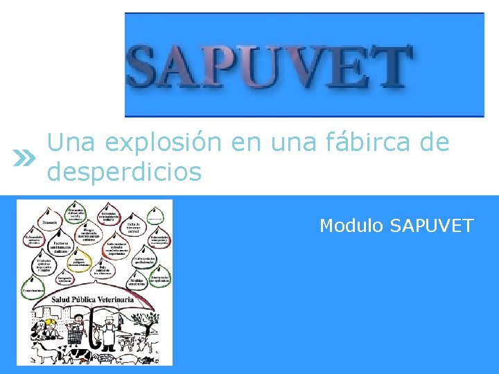 Una explosión en una fábirca de desperdicios Modulo SAPUVET 