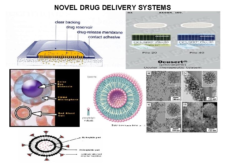 NOVEL DRUG DELIVERY SYSTEMS 