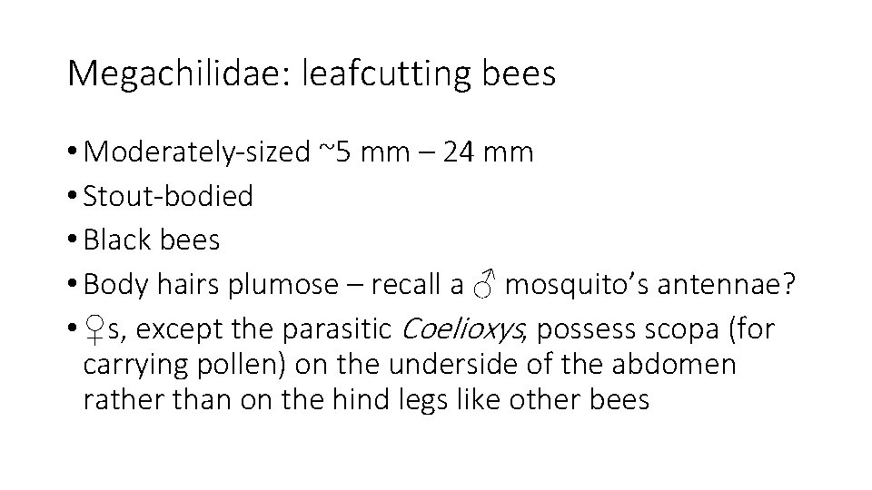 Megachilidae: leafcutting bees • Moderately-sized ~5 mm – 24 mm • Stout-bodied • Black