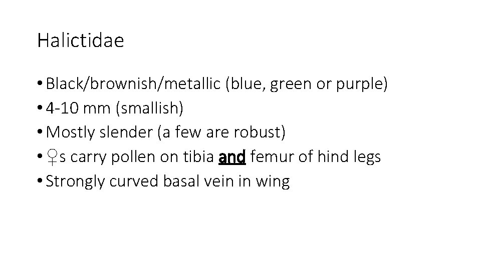 Halictidae • Black/brownish/metallic (blue, green or purple) • 4 -10 mm (smallish) • Mostly