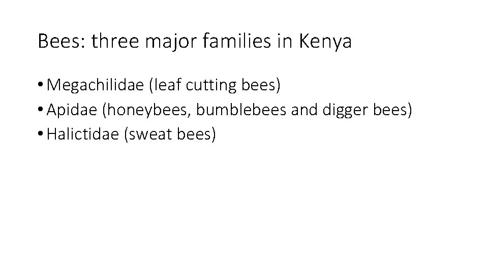 Bees: three major families in Kenya • Megachilidae (leaf cutting bees) • Apidae (honeybees,
