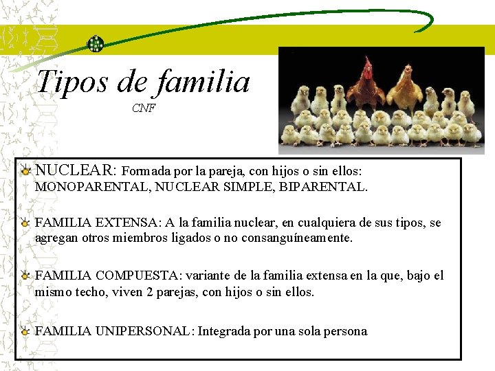 Tipos de familia CNF NUCLEAR: Formada por la pareja, con hijos o sin ellos: Tipos de familia CNF NUCLEAR: Formada por la pareja, con hijos o sin ellos: