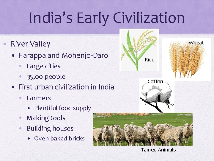 India’s Early Civilization • River Valley • Harappa and Mohenjo-Daro • Large cities •
