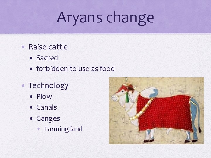 Aryans change • Raise cattle • Sacred • forbidden to use as food •