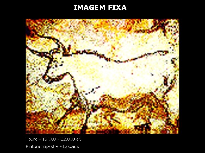 IMAGEM FIXA Touro - 15. 000 - 12. 000 a. C Pintura rupestre -