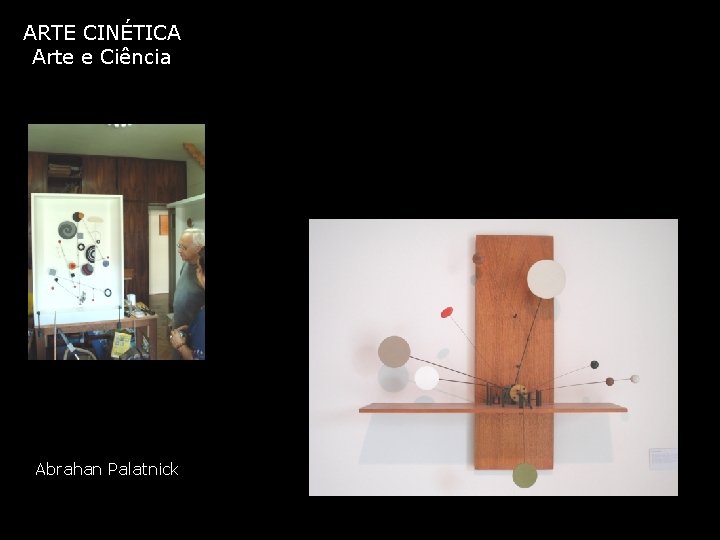 ARTE CINÉTICA Arte e Ciência Abrahan Palatnick 