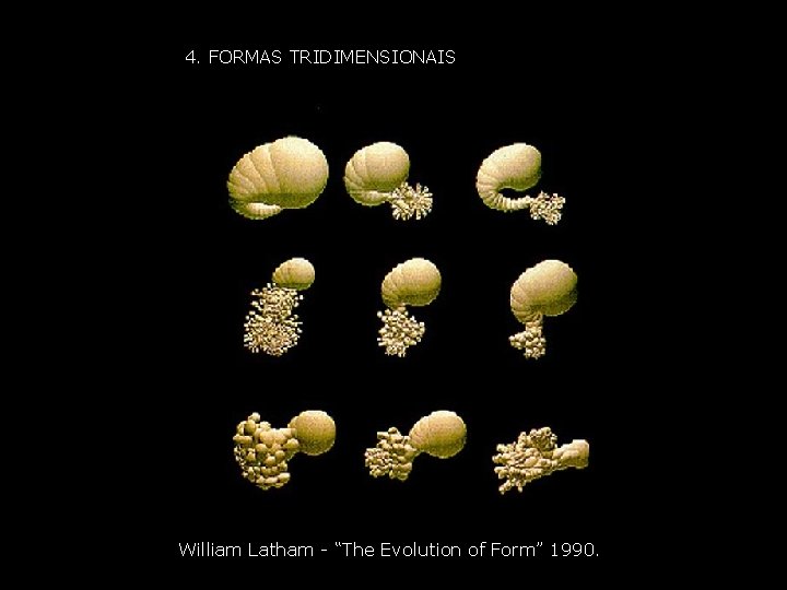 4. FORMAS TRIDIMENSIONAIS William Latham - “The Evolution of Form” 1990. 