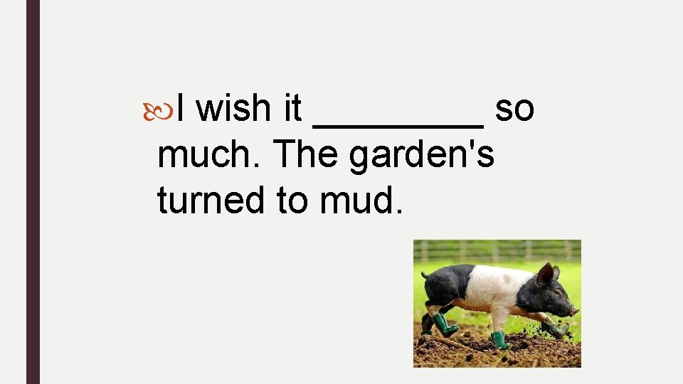  I wish it ____ so much. The garden's turned to mud. 