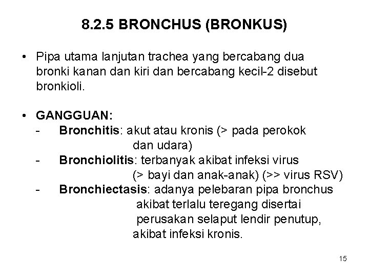 8. 2. 5 BRONCHUS (BRONKUS) • Pipa utama lanjutan trachea yang bercabang dua bronki