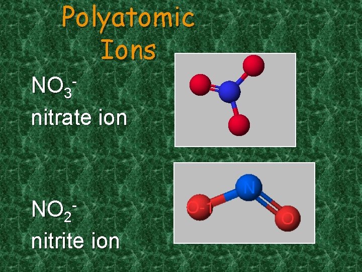 Polyatomic Ions NO 3 nitrate ion NO 2 nitrite ion 