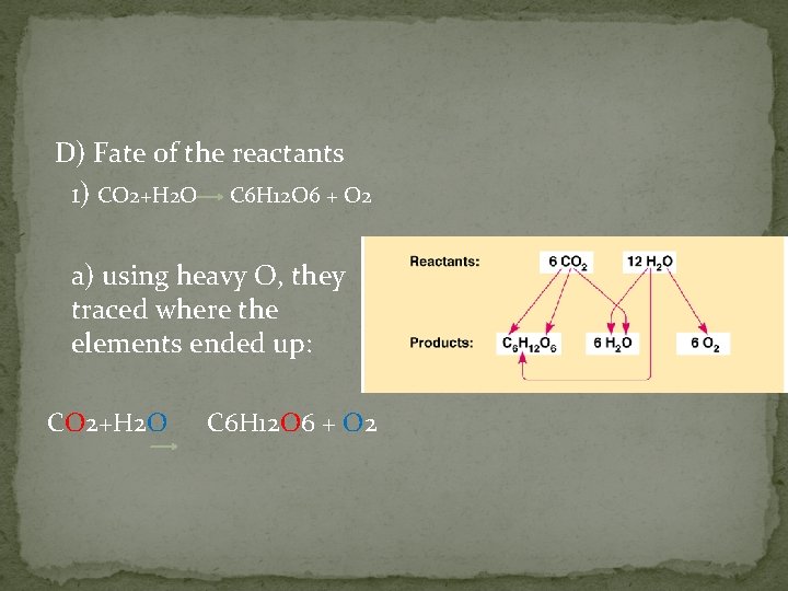 D) Fate of the reactants 1) CO 2+H 2 O C 6 H 12