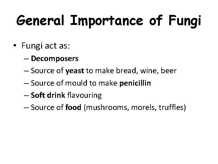 General Importance of Fungi • Fungi act as: – Decomposers – Source of yeast