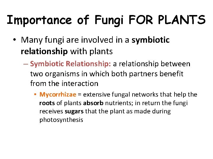 Importance of Fungi FOR PLANTS • Many fungi are involved in a symbiotic relationship