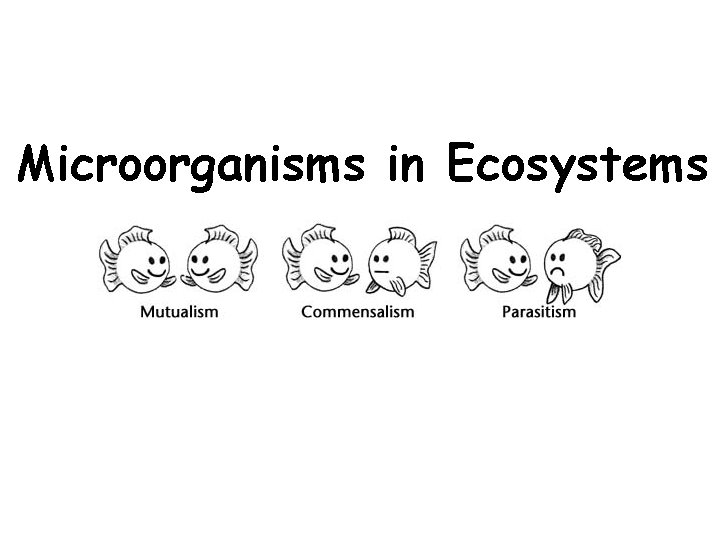 Microorganisms in Ecosystems 