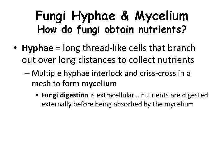 Fungi Hyphae & Mycelium How do fungi obtain nutrients? • Hyphae = long thread-like